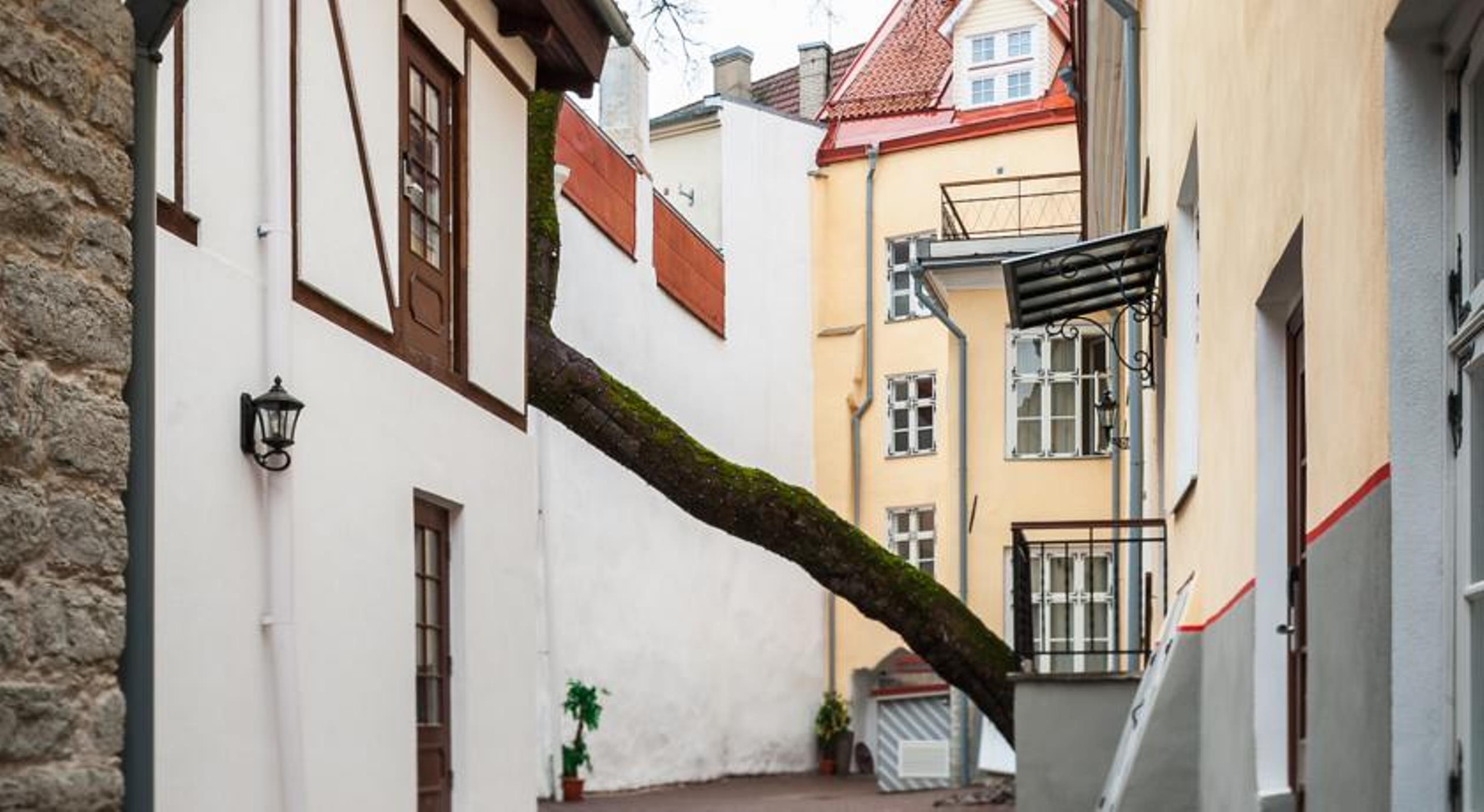 Three Crowns Residents Hotel Tallinn Ngoại thất bức ảnh